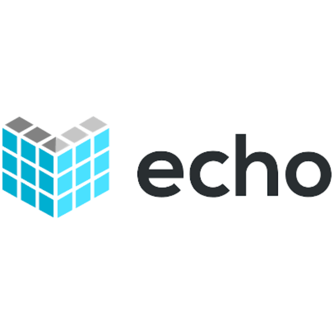 Golang echo logo