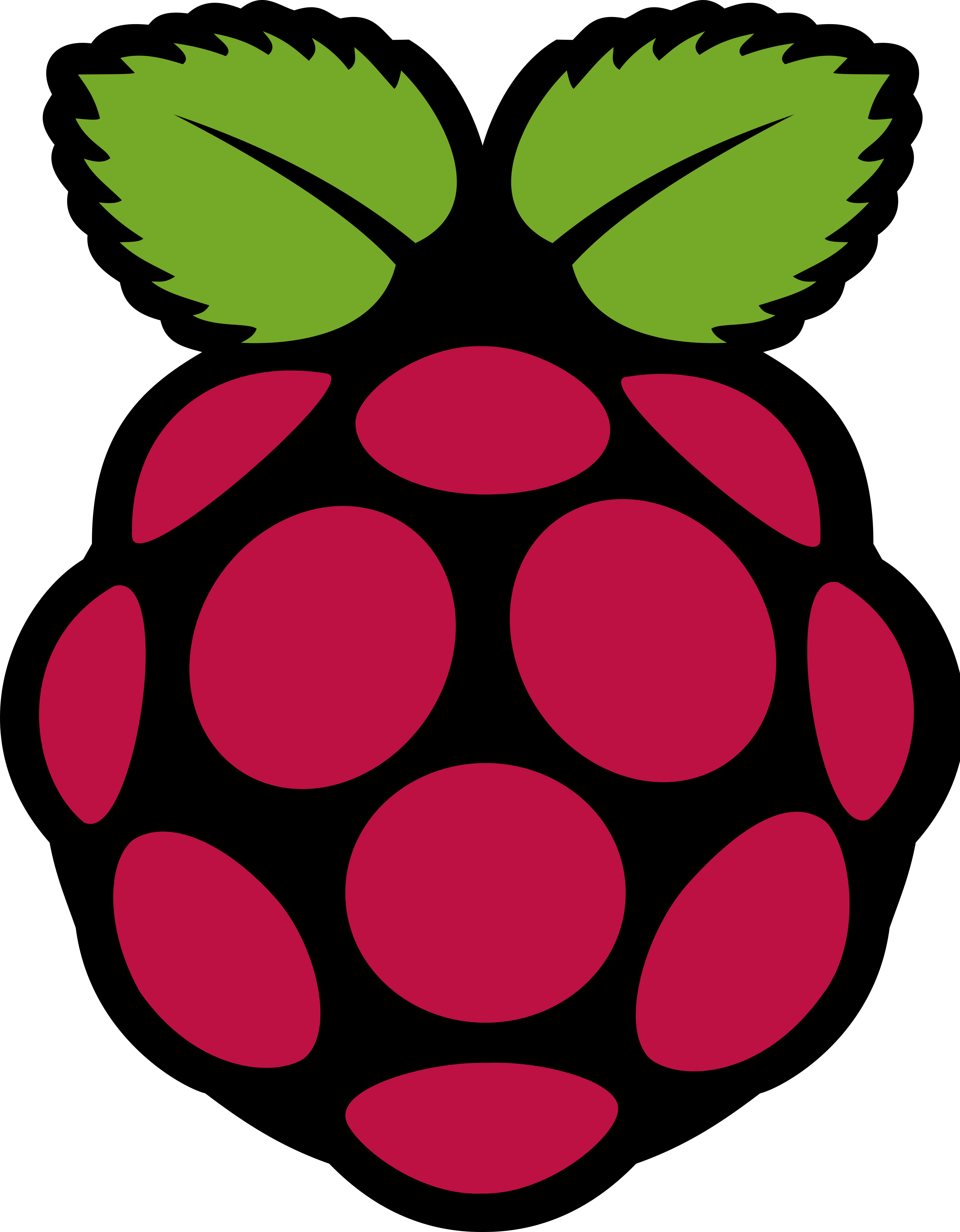 Raspberry logo